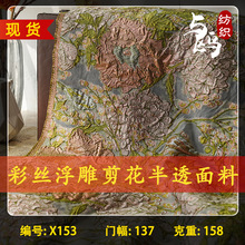 二批专供半透彩丝麻雀时尚浮雕剪花连衣裙面料新中式小吊带提花布