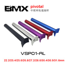 BMX���ݳ�С�����г��������г�PIVOTAL��������ԽҰ���³�����