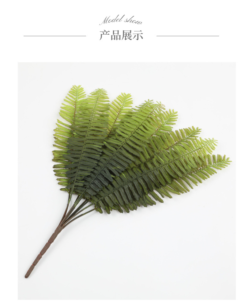 模特展示1 (6).jpg