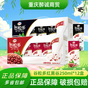 September Yili Grain Multi-Cereal Milk Drink 250ml*12 Boxes/16 Boxes in Box Packaging, Multiple Flavors and Specifications Available