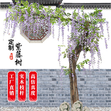 �OӋ�҃��̈�4S��䁴��ͷ������ٻ���Ƶ���ò����b[���٘�