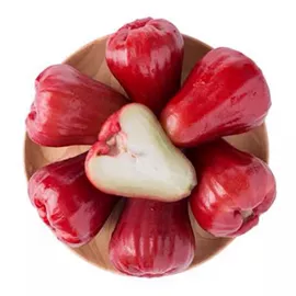 块茎类;苹果;其他水果