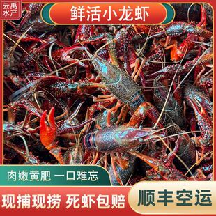 С���r�r�����������ˮ�r�ش�̖������r��t�r���wһ����S���f