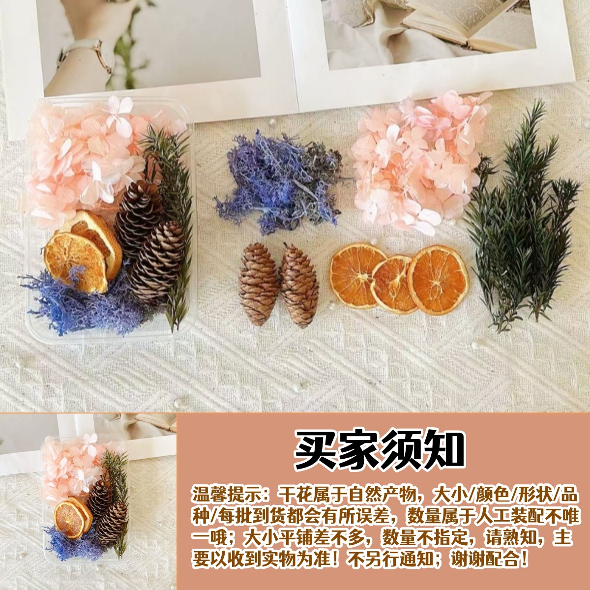 Fruitas secas flores secas DIY material paquete de plantas naturales secas al aire navidad pine canela hecha a mano in decoración adornos inmortales