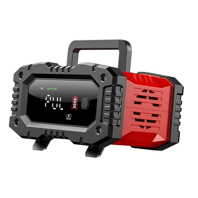 Foxsur 20A 12V24V Car battery/battery