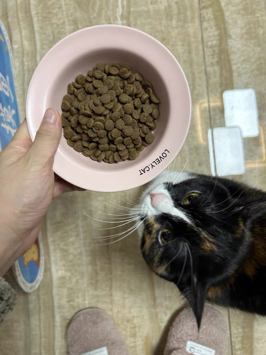 c3278933-63f3-4f4e-865f-abf457dc4cc2.jpe