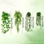 盆栽植物仿真摆件绿植