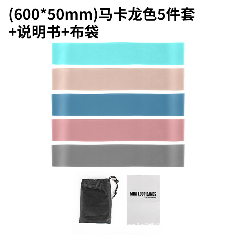 [PTE 미표준] 마카롱 5종세트 + 취급설명서 + 천가방