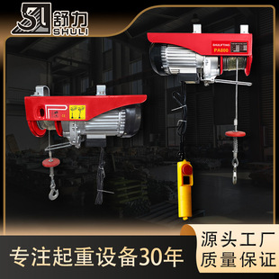 Double-Hook Micro Electric Hoist 220V Small Crane Household Industrial Small Crane