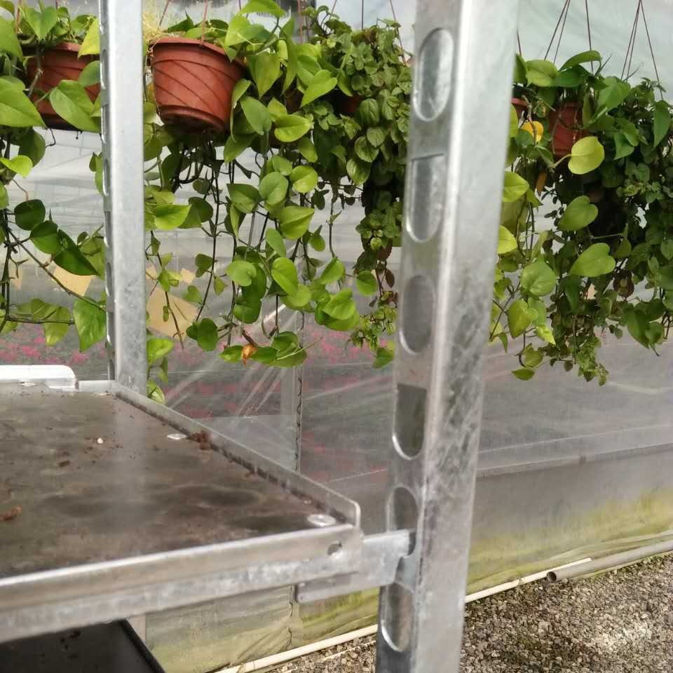 【厂家直销 花卉台车 型钢】花卉周转车、育苗车 34.3*34.3*2.5mm