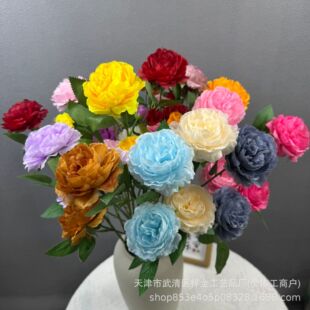 3�^��ĵ�����滨 ����õ���c�Y���b廨�ҾӔ[�O�ٻ��������l