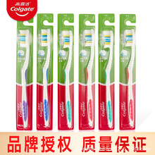 高露洁三重深洁牙刷成人中硬毛耐用清洁中毛酒店家庭装常备批发