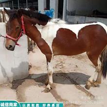 ���R���R�T���R�߃r���ջ��R���ﰫ�R���U�r���ɹ��R�����R���R