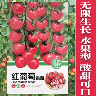 �ٲ����ѷN���ݙ���С���t�����tǧ�ҳ����������߲��}Ů���N��