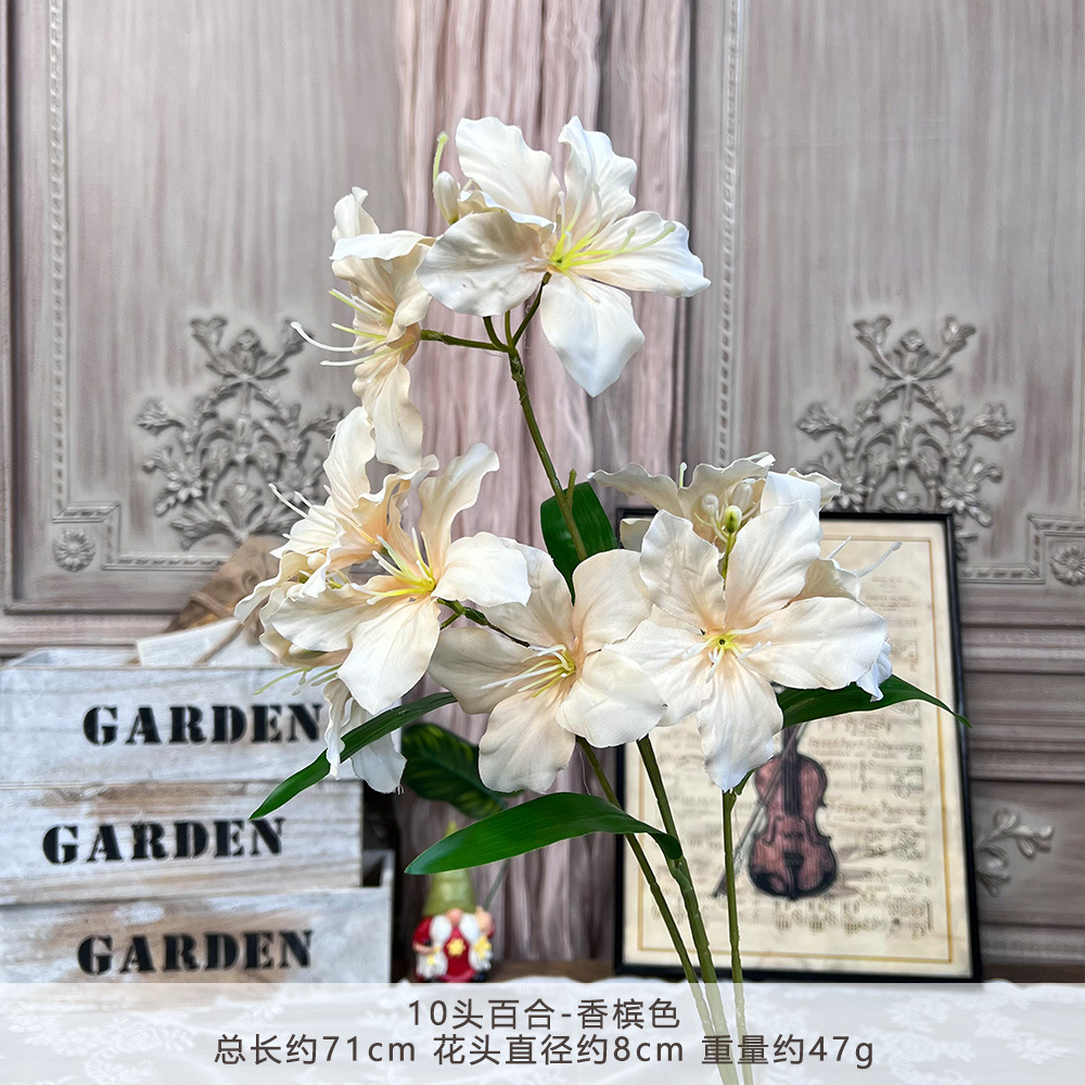 WP-10头百合-香槟色