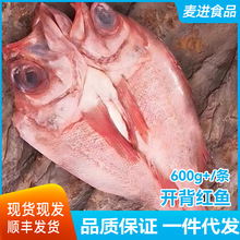 开背红鱼鲜活冷冻大红鱼去内脏海鲜水产新鲜大眼鱼腌制红石斑鱼