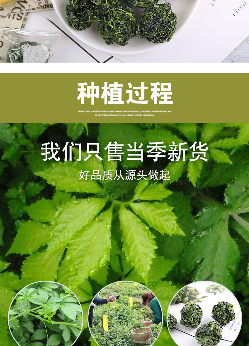 Jiao Gu Lan Dragon Whisker Tea Balls (Gynostemma pentaphyllum) — 500g Loose Herbal Tea in use