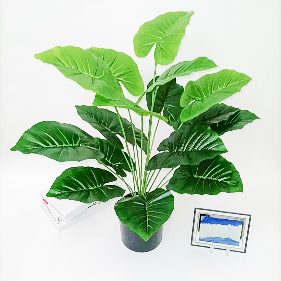 微信图片_20220506221101