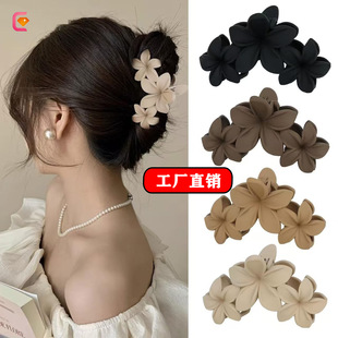 �羳���N�u����ץ�A��̖�B�w����l�A���X�����b���~�A���R�d�l�