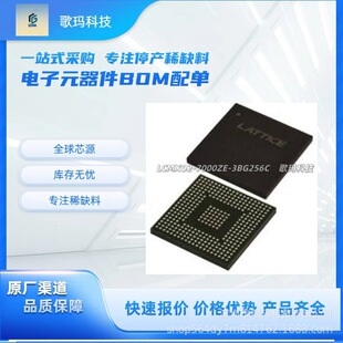 Lattice LCMXO2-7000ZE-3BG256C FPGA һվʽ���Ԫ�������