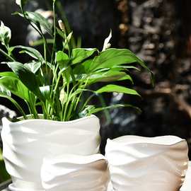 花盆陶瓷大号带托盘简约绿萝阳台吊兰创意个性多肉小花盆