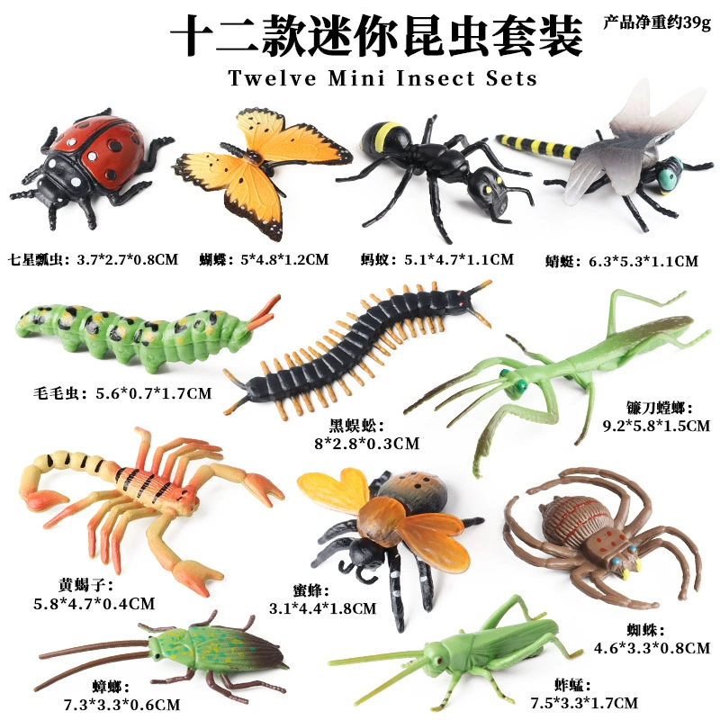 Cognitive realistic marine animal model, dinosaur, toy
