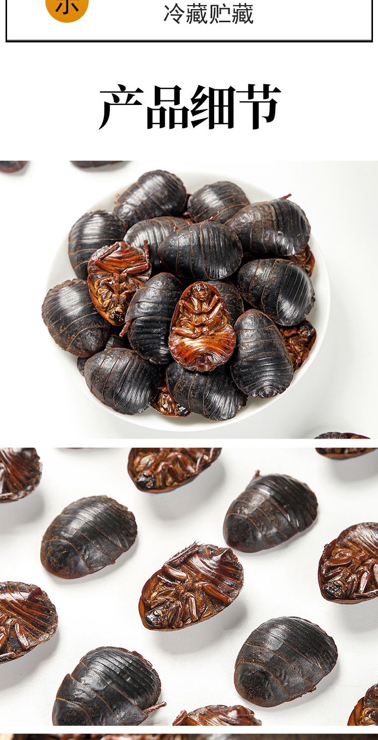 Tu Yuan Dried Ground Beetle 土元 Whole Insect TCM Herb 500g Traditional Decoction Ingredient specifications