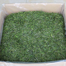 安徽茶葉綠茶 22新茶黃山毛峰 雨前散裝濃香型高山嫩芽500g