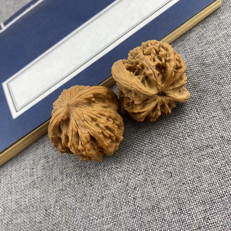 開背ヒキガエルの頭の文はクルミの低い杭を遊んで、先の古い木の延慶の金のヒキガエルの手は収集級の男女を遊んでクルミを遊びます。|undefined