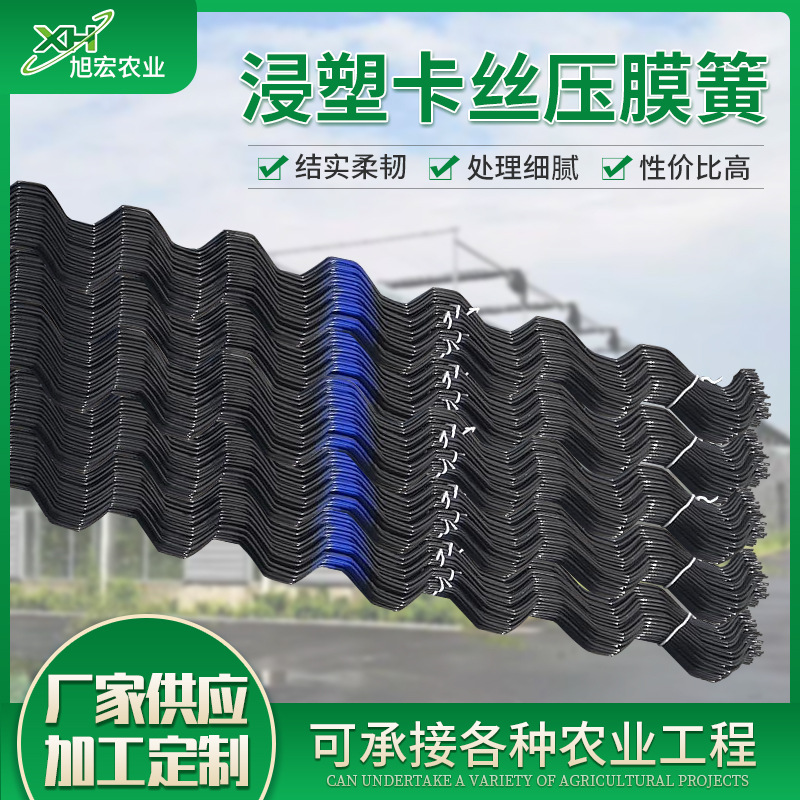 浸塑卡丝压膜簧 温室大棚配件浸塑卡簧批发 蔬菜大棚薄膜压膜簧
