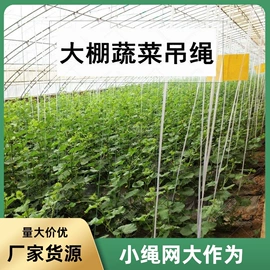 其他安全网;防护栏;球网