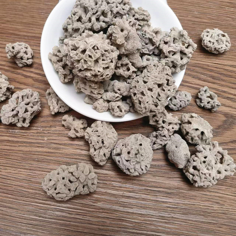 Hai Fu Shi Hua Sea Fossils Flower Dried Marine Mineral Herb Traditional TCM Decoction Ingredient Large Granules quality and texture