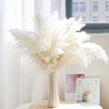 跨境亚马逊小蒲苇小芦柴干花批发婚庆道具真花束小芦苇干花束芦苇