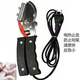 ��β�Q�i��늟��β�Q��늟��Q���Bֳ�O��늟��β�Q�i���� ���_