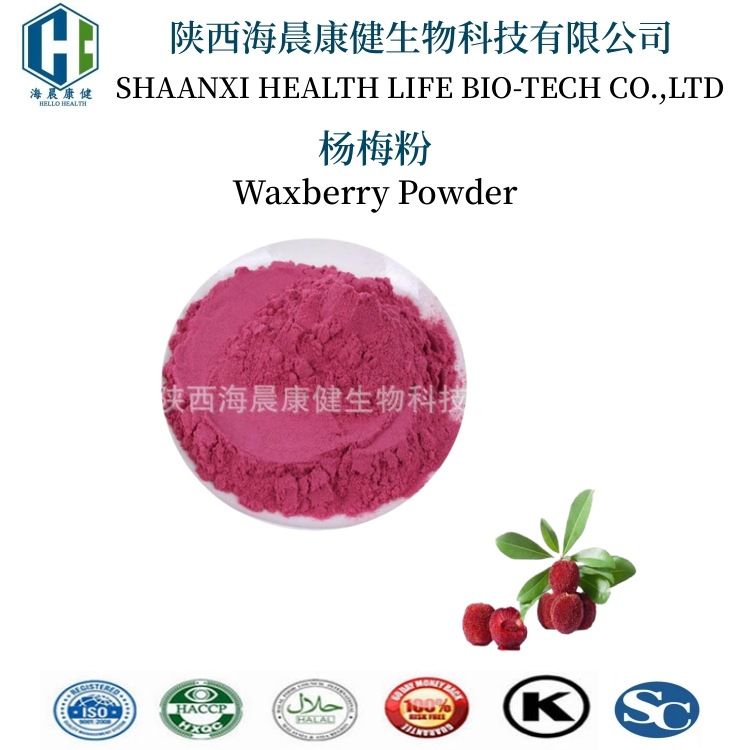 杨梅粉 99% 杨梅浓缩汁粉 杨梅果粉 固体饮料 海晨康健 食品级