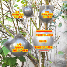 ֲ��߉��޽������з�ֳ�@�֘�ľ��֦���߉���ֳ��Ǥ��޽���