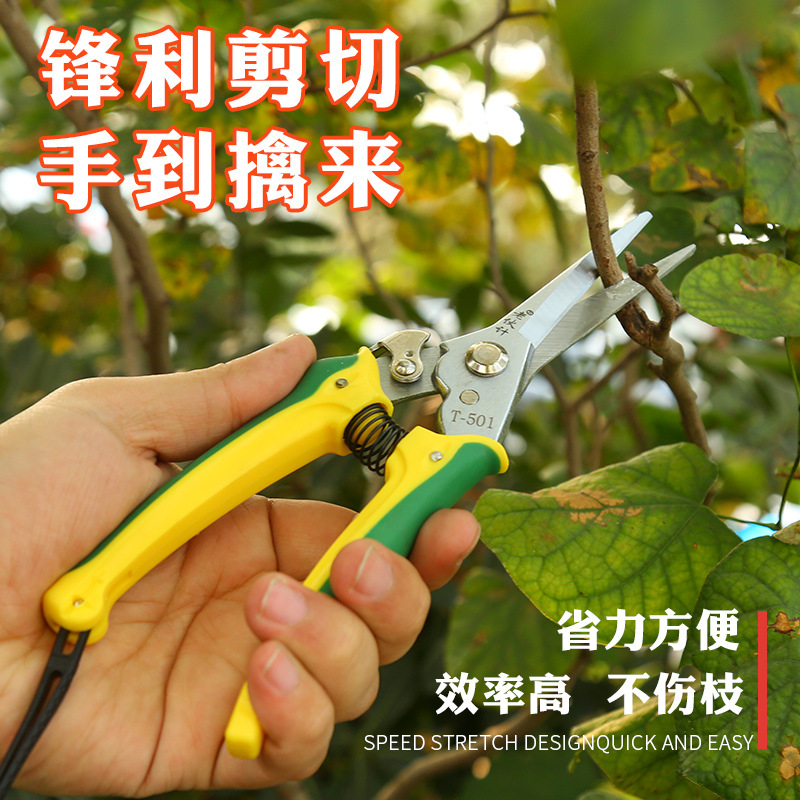 供應 修枝剪 稀果剪 精品稀果剪採摘剪刀 園藝花枝剪
