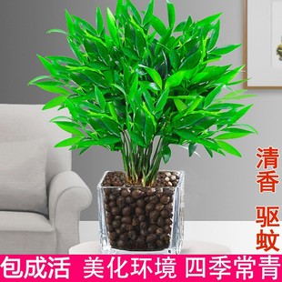 ˮ����á����ӿ��ǡ�������Ի��ܸ��F��ˮ�Bֲ����ò��k���҃�