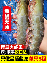 虾大虾鲜活速冻海鲜水产鲜活特大黑虎虾基围虾青岛大海虾白虾海虾