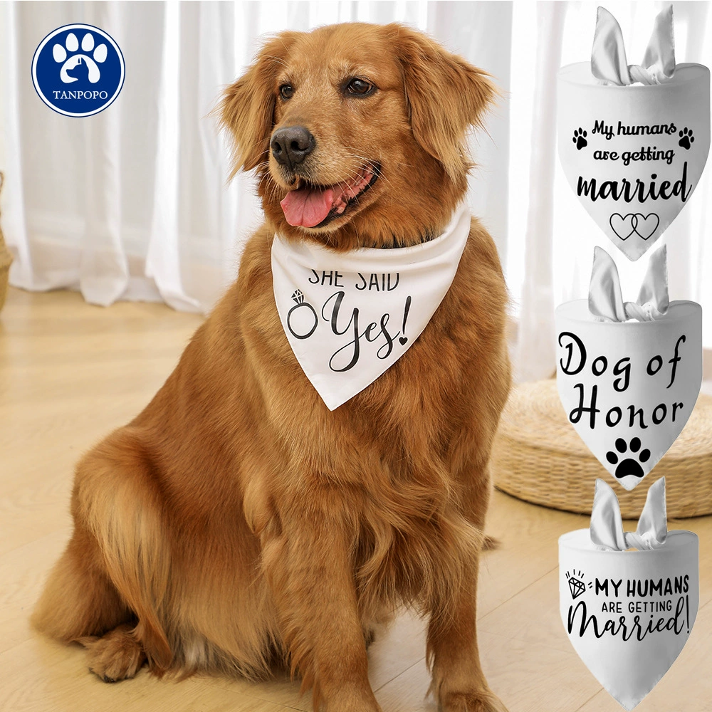 Завод в наличии трансграничные специальные летние новые слюны полотенце свадебный шарф любимчика горячего тиснения дышащий животное треугольник полотенце