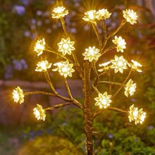 ̫����p�Ӻɻ���֦��ƺ������ͥԺ���̨���@�bՇ���ˮ�ز��