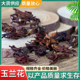 供应广西新鲜散装玉兰花 批发农产品肾兰花泡茶花草茶 量大从优