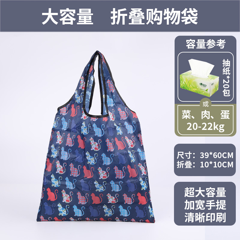 길 잃은 고양이