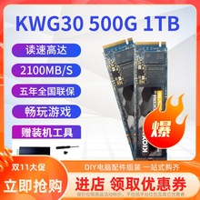 鎧俠KWG30工包 鎧俠RC20 1T簡包SSD M.2台機筆記本電腦固態硬盤