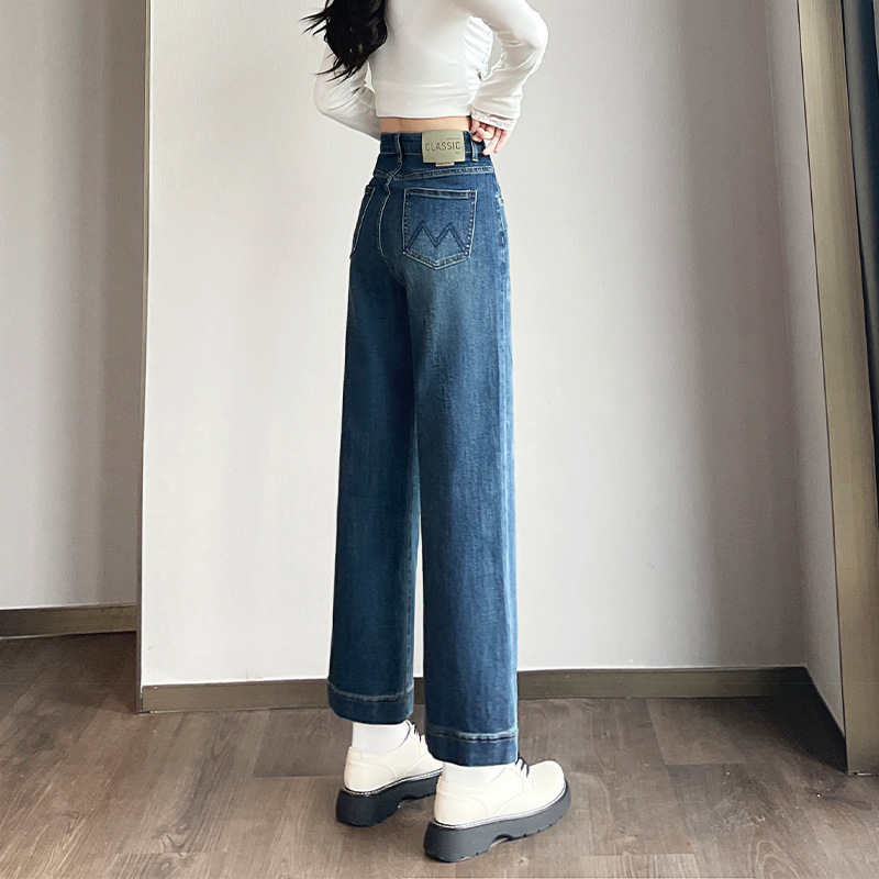 刺绣高腰阔腿牛仔裤女2025秋季新款宽松显瘦遮胯小个子九分直筒裤|undefined