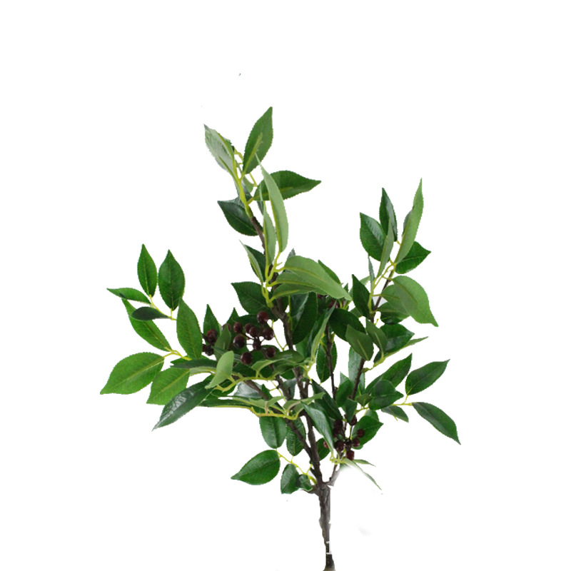 XRB-187 赤楠叶6叉枝立体0 (5).jpg