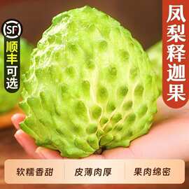 新鲜水果释迦果番荔枝5斤大目牛奶凤梨佛头果林顺丰包产地直发