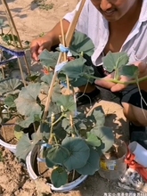 ��������С�������J�N��������΢���̨�İ��������F����