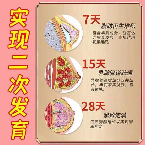 Wild Pueraria Rhizome Plump Chest Cream, Plump Chest Lotion, Chest Care Firming and Lifting, Beauty Breast Oil, Breast Enlargement Cream