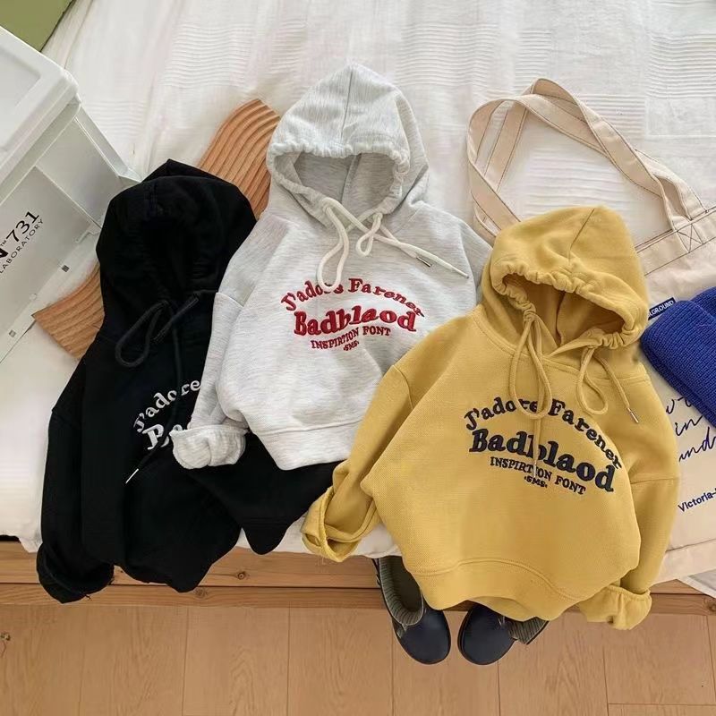 Spring and Autumn Children's Sweatshirts, Trendy Korean Style Letter Embroidered Hoodies for Babies and Toddlers